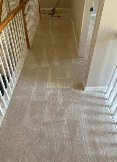 Luxury Mohawk Carpet Installation in Cary, NC 5 Luxury Mohawk Carpet Installation in Cary, NC