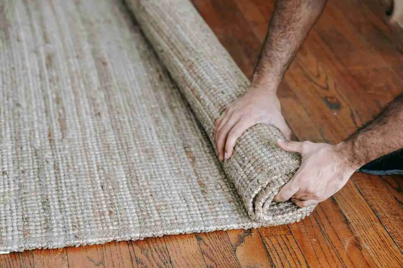 Matching Hardwood Floors with Vinyl, Tile, or Carpet 1 Person rolling out a textured beige carpet over hardwood flooring to create a matched flooring look